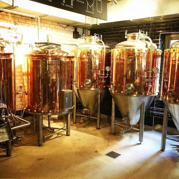 Would beer fermentation tank with copper coating be better than red copper fermenters?